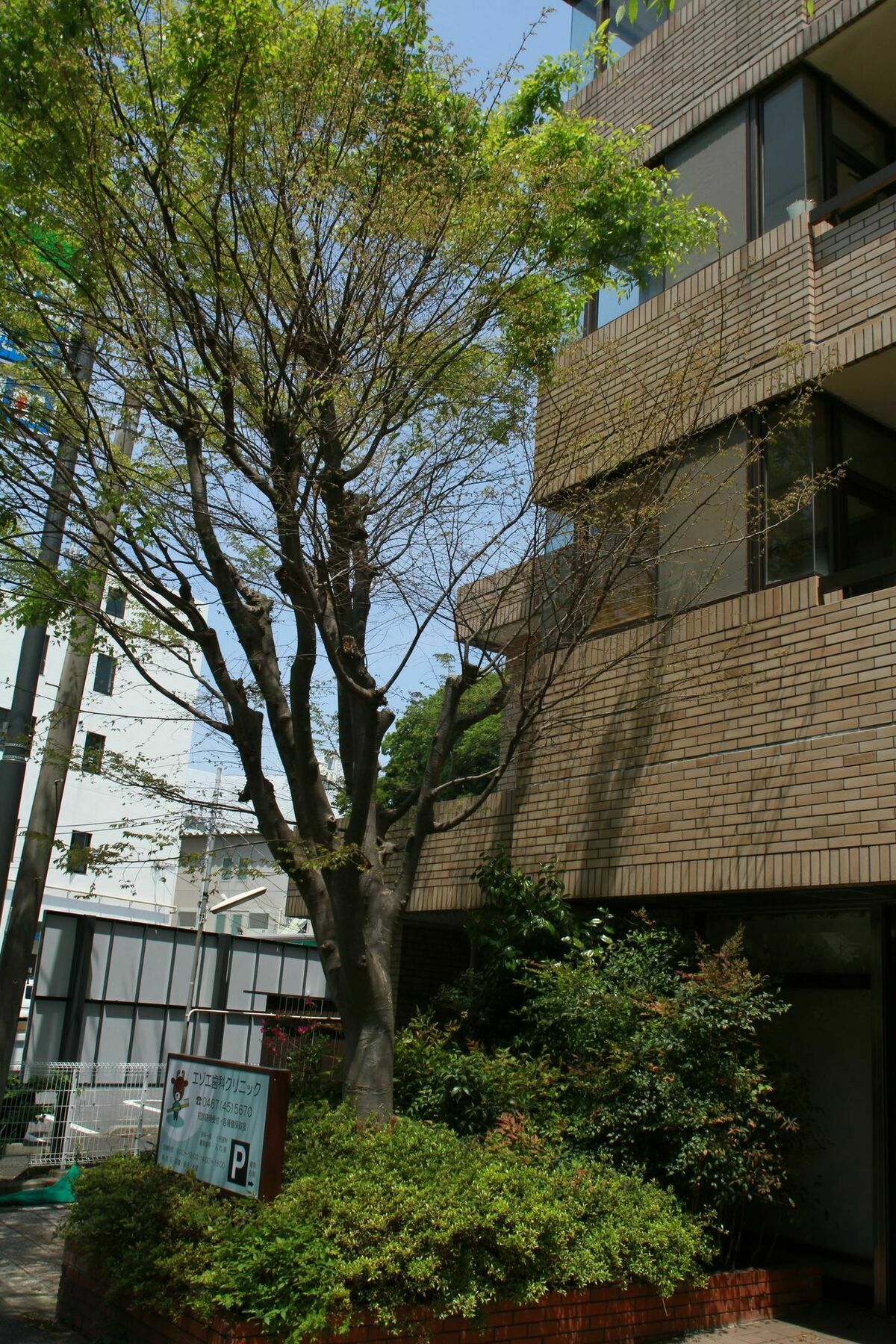 ゲストハウス土幣 鎌倉市 エクステリア 写真